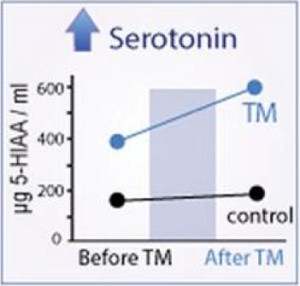 serotonin