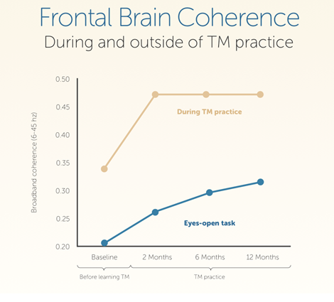 frontal_brain